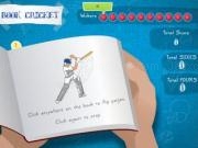 Play Book cricket