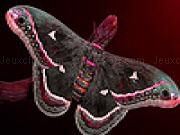 Play Brown butterfly puzzle