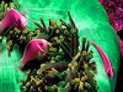 Play Deep ocean fishes puzzle