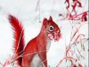 Jugar a Red squirrel in the snow slide puzzle