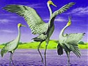 Play Flying flamingo slide puzzle