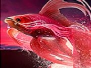 Spielen Nice fantastic fish coloring