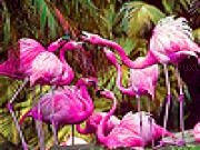 Play Tropical flamingos slide puzzle