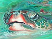Play Green sea turtle puzzle