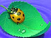 Play Ladybug on the leaf slide puzzle