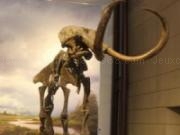 Play Fossil mammoth slider