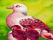 Play Seagull family slide puzzle