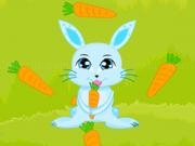 Play Bunny crazy time