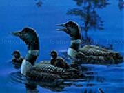 Play Black ducks in the lake slide puzzle
