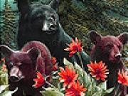 Play Bear family in the jungle slide puzzle