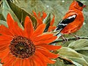 Play Bird and sunflower slide puzzle