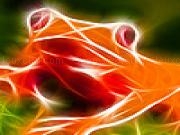 Play Slow flame frog puzzle