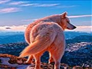 Jugar a Alone fox on the hill slide puzzle