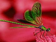 Play Fly on the red leaf puzzle