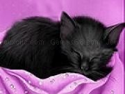 Play Black sleepy cat slide puzzle