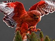 Jugar a Warrior hawk puzzle