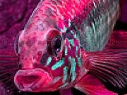 Jugar a Pink big fish slide puzzle