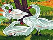 Play Beautiful swans slide puzzle