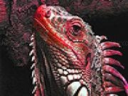 Jugar a Mountain lizard slide puzzle