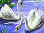 Play Captivating swans puzzle