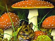 Play Mushroom garden puzzle