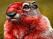 Play Big nose slide puzzle