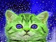 Play Blue eyes cat slide puzzle