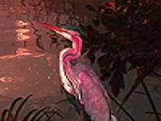 Play Pink heron in the lake slide puzzle