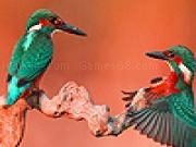 Play Chatting birds in the desert  puzzle