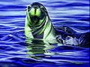 Play Green sea lion slide puzzle