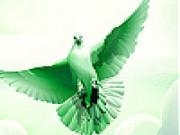 Play Flying green dove slide puzzle