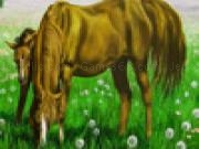 Play Grassland and hungry horses puzzle