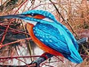Play Blue lake bird puzzle