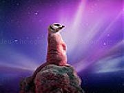 Jugar a Alone meerkat slide puzzle