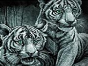 Play White funky tigers slide puzzle