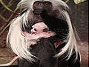 Play White haired monkeys slide puzzle