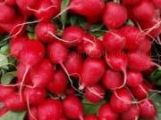 Play Radish slider