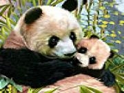 Play Lovely pandas in the woods puzzle