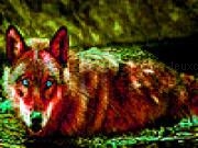 Spielen Swamp in the fox puzzle