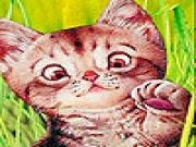 Play Tiny alone cat slide puzzle