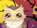 Play Owl care