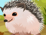 Play Cute hedgehog