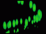 Play Mouse effects 4
