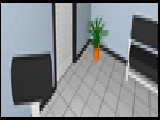Play Ying yang escape 2