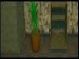 Play Tiny room escape