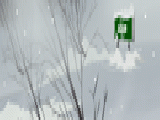 Play Live escape: snow storm(strom)