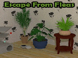 Play Escape from fleas