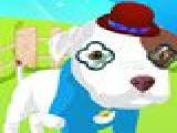 Play Baby pitbull dressup