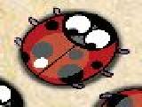 Play Nervous ladybug 3