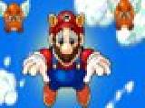 Play Mario flight